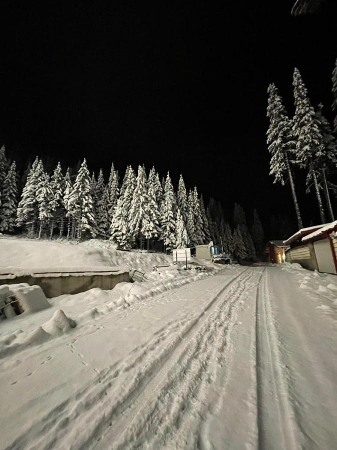 Cozy Apartment B35 In Grand Resort Pamporovo Eksteriør bilde