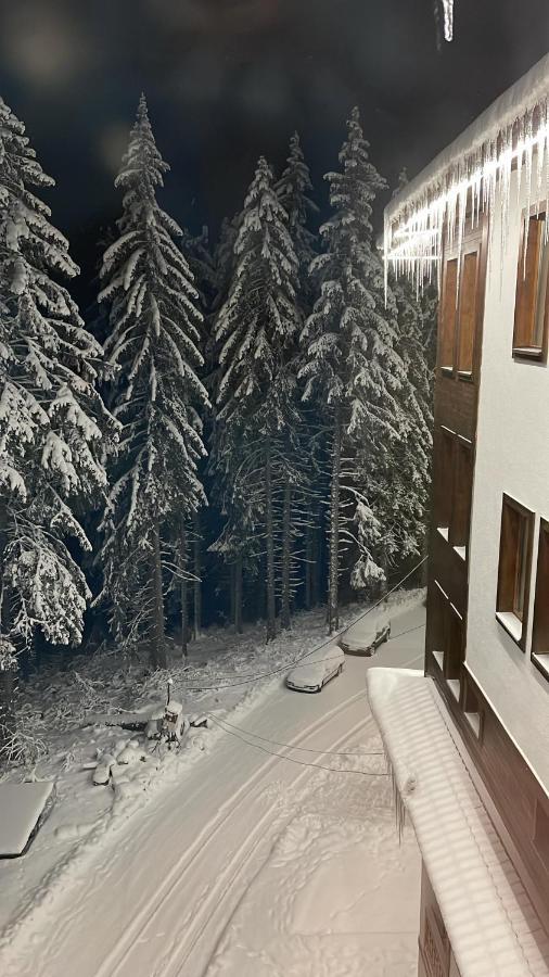 Cozy Apartment B35 In Grand Resort Pamporovo Eksteriør bilde