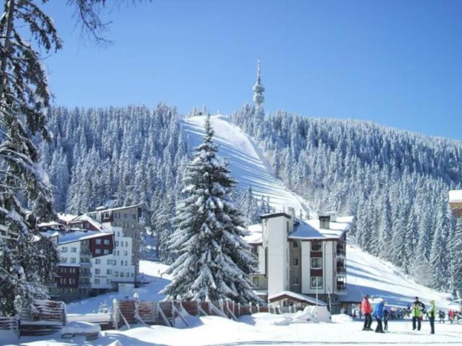 Cozy Apartment B35 In Grand Resort Pamporovo Eksteriør bilde