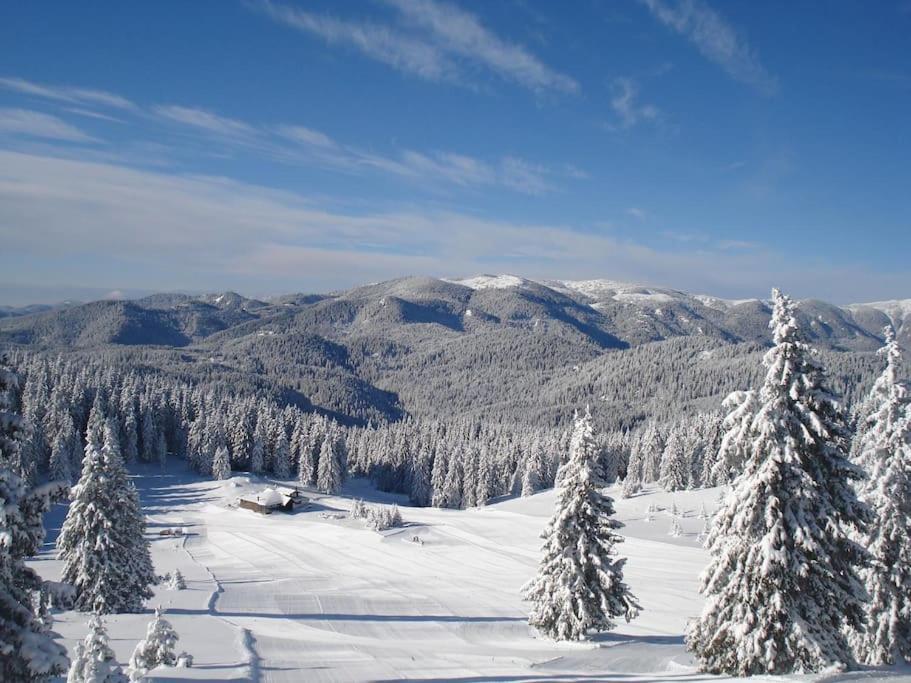 Cozy Apartment B35 In Grand Resort Pamporovo Eksteriør bilde